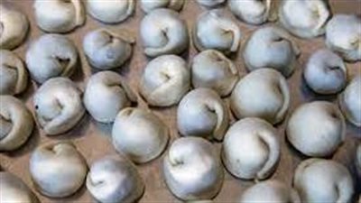  سر نجاح الشيش برك