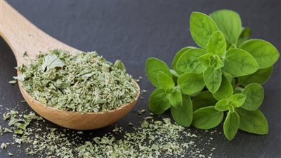 نصائح عند استخدام البردقوش لتنظيم الهرمونات 