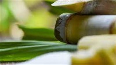 أين يوجد السكر الطبيعي ؟
