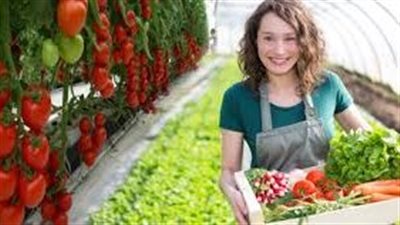 ما الطرق الصحيحة لزراعة الخضروات 