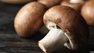 إليك خطوات زراعة المشروم