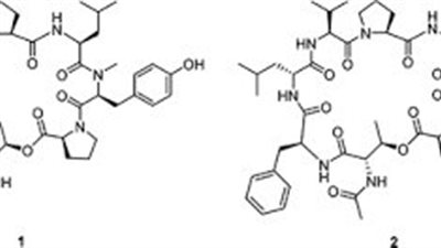 كل ما تريد معرفته عن استخدام Octadepsipeptides 