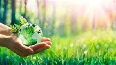 كيف نحافظ على البيئة؟