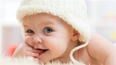سرفت جوز اختي كامله 