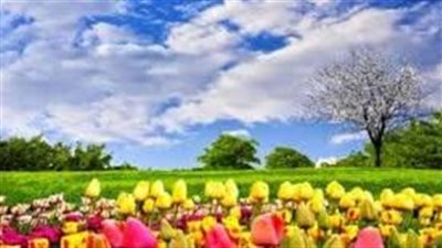 بعض نشاطاتُ الإنسانِ في الصيف