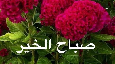 اجمل دعاء صباح الخير