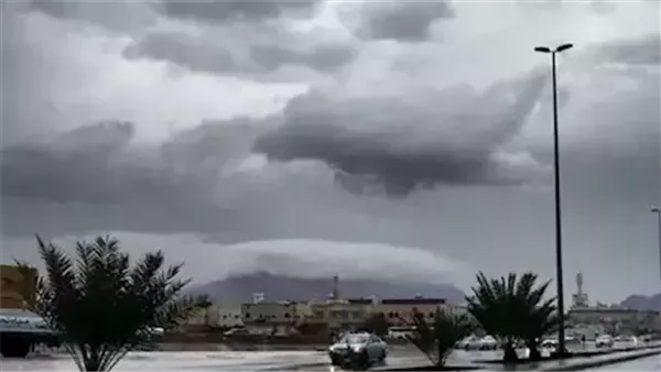 موقع أيام نيوز